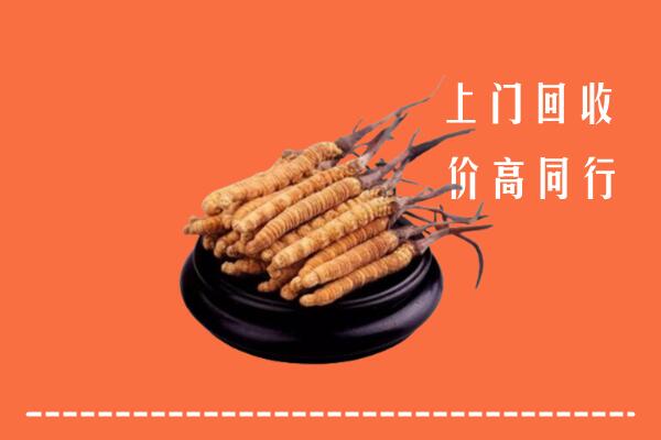 高价求购：汉滨区回收散虫草