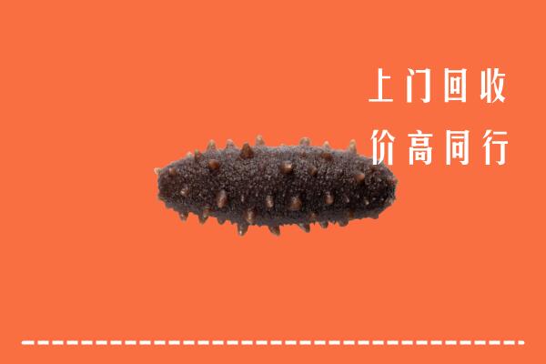 汉滨区回收海参